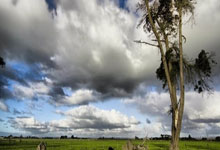 欧预赛:法国队惊险逆转击败对手,晋级前景大好