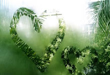 牢记团队精神，击溃对手争取胜利！