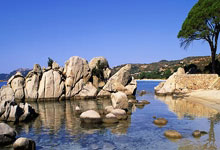 牢记团队精神，击溃对手争取胜利！