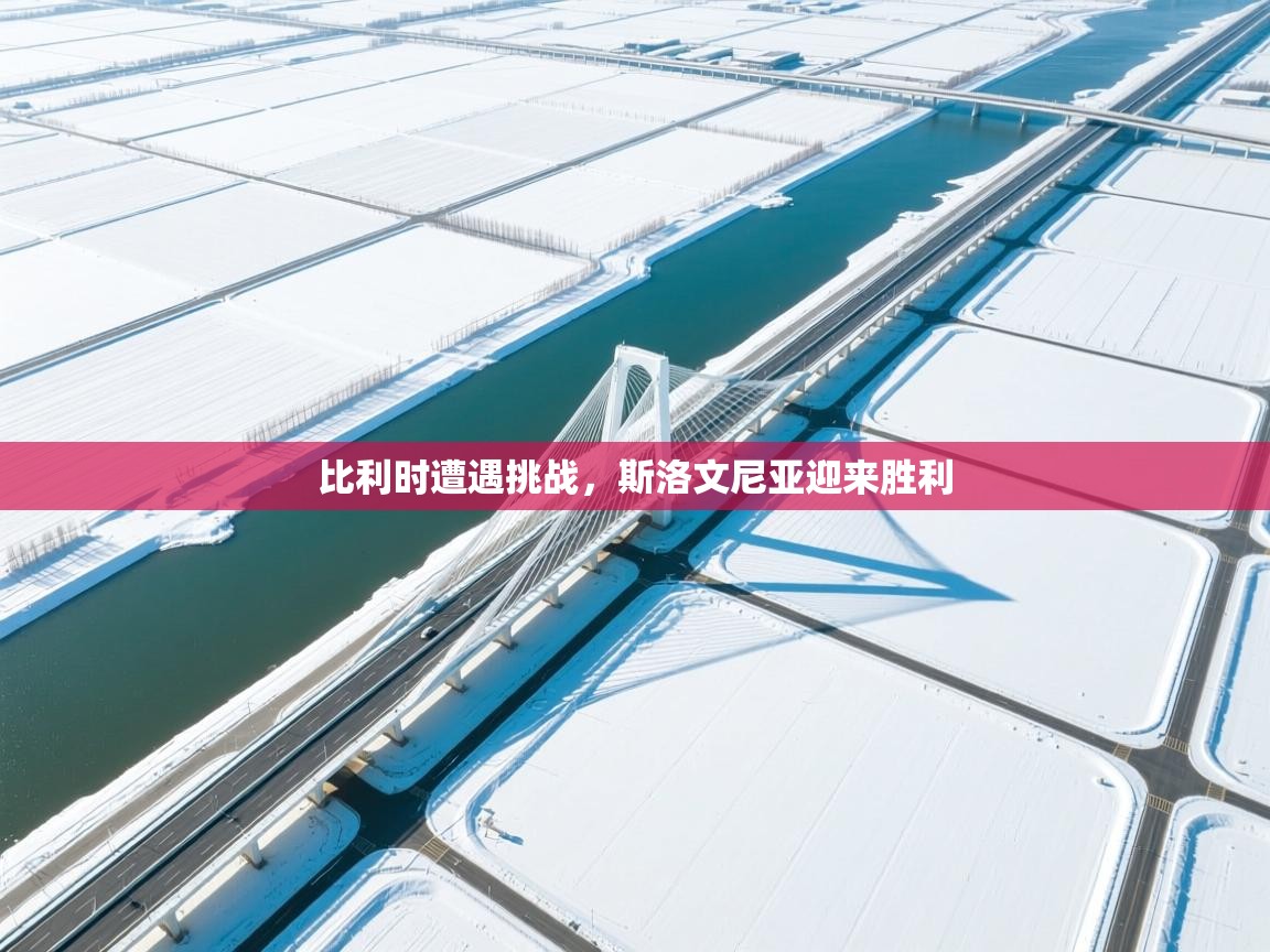 比利时遭遇挑战，斯洛文尼亚迎来胜利