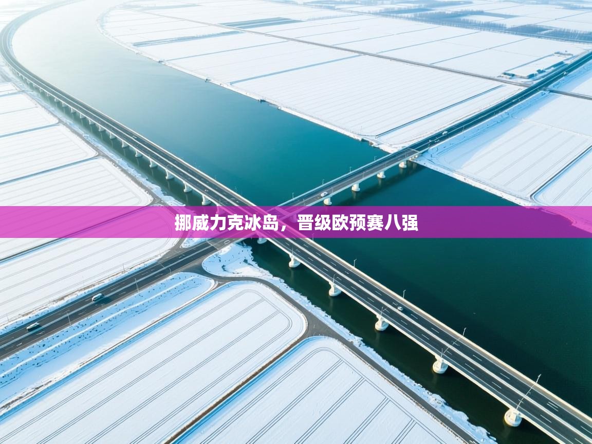 挪威力克冰岛，晋级欧预赛八强  第2张