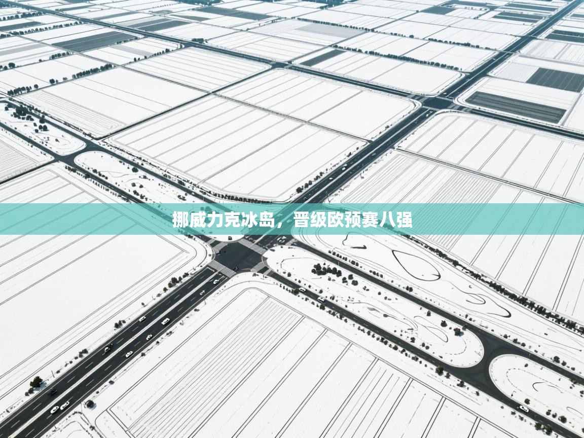 挪威力克冰岛，晋级欧预赛八强  第1张